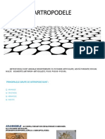 Artropodele PDF