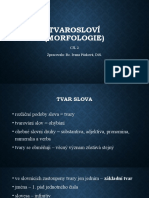 02) Tvaroslovi-Morfologie