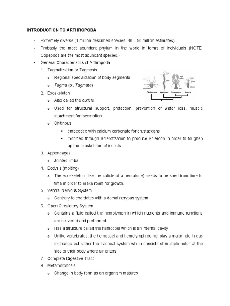 General Zoology Module 1 Arthropoda and Echinodermata | PDF ...