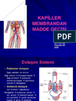 Kapiller Membrandan Madde Gecisi-2020-Donusturuldu