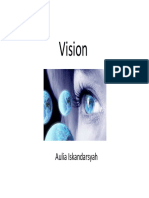 Vision: Aulia Iskandarsyah