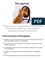 Perception Functions Explained