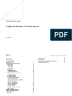 Guia Rapida Cargas csv+v07