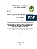 PP Julio Aguilar RACIONALIDAD DEL USO DE LA FUERZA