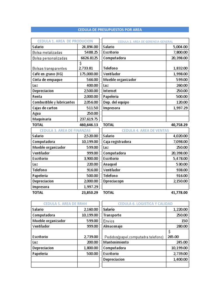 CEDULAs Presupuestarias | PDF | Equipo de oficina | Trabajo de oficina