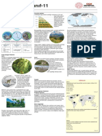 11.sınıf Coğrafya Özet Ders Notları