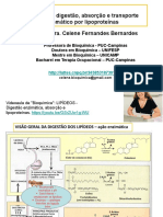 Lipídeos - Digestão Enzimática e Absorção - Lipoproteínas