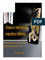 Vasos e Nervos Do Membro Superior PAEx (3)