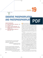 Oxidative Phosphorylation and Photophosphorylation Mechanisms Explained