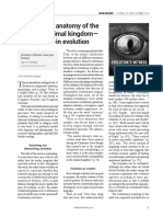 Comparative Anatomy of The Eye in The Animal Kingdom - With Dubbed-In Evolution