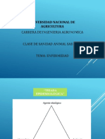 Clase III Enfermedad