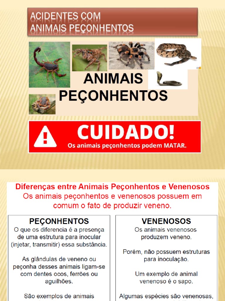 Prevenção de Acidentes com Animais Peçonhentos | PDF