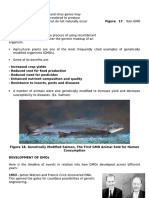 DEVELOPMENT OF GMOs