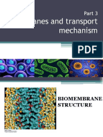 Lecture 4 - Membrane