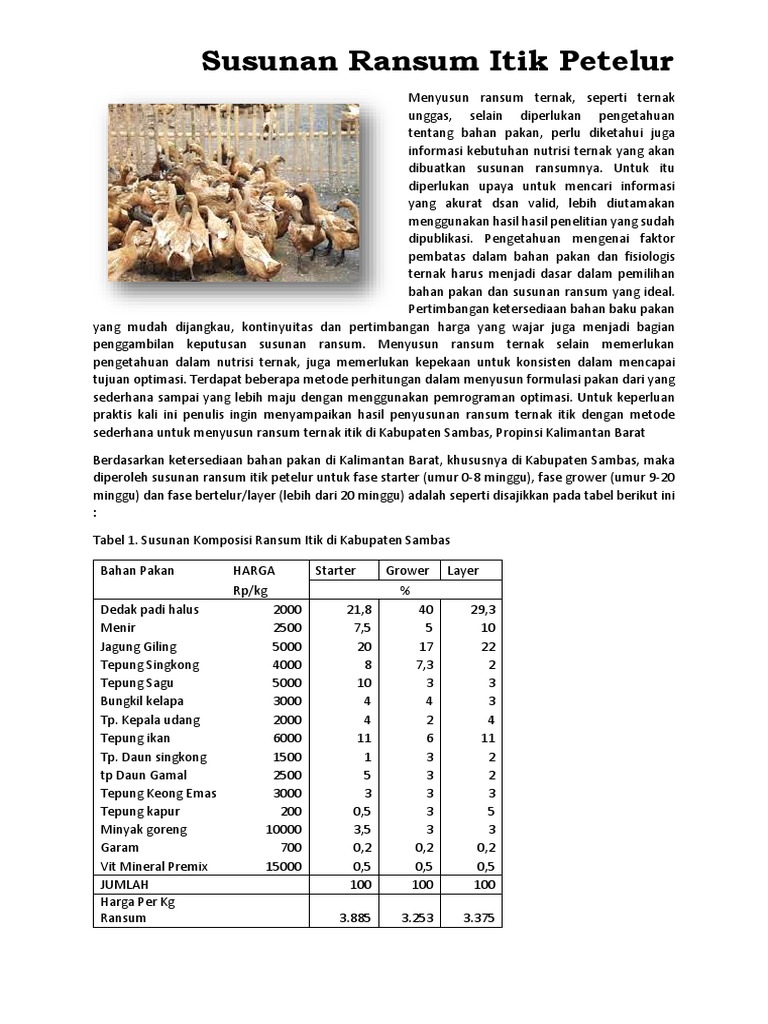 Ransum Nutrisi Itik Petelur Sambas | PDF