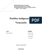 Pueblos Indígenas de Venezuela: Historia y Cultura