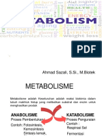 Metabolisme (Anabolismekatabolisme) - 1