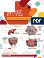 Cirrosis Hepática