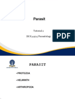 Power Point 2 Parasitologi 2019