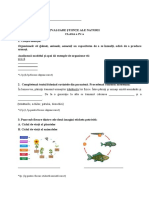 Evaluare Științe Ale Naturii