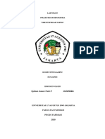 Laporan Prak Biokima Identifikasi Lipid