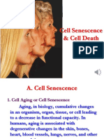 Cell Senescence & Cell Death