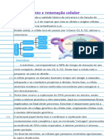 Biologia Ciclo Celular+ Reprodução Assexualda