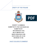 University of the Punjab E-Commerce Business Model
