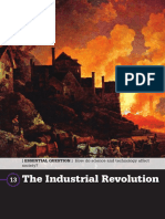 The Industrial Revolution: How Do Science and Technology Affect Society?
