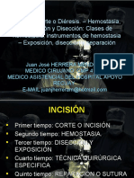 Incision Es