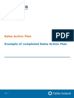 Example of Completed Sales Action Plan