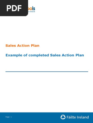 Sales Action Plan Example 17082010