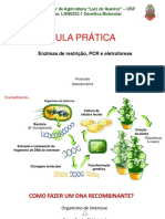 AULA 6 - Aula Prática (Eletroforese, Enzima de Restrição e PCR)