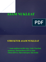 Asam Nukleat