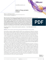 Prediction and Analysis of Key Protein Structures of 2019-Ncov