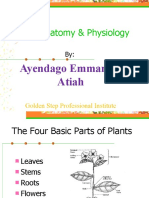 Plant Anatomy & Physiology: Ayendago Emmanuel Atiah