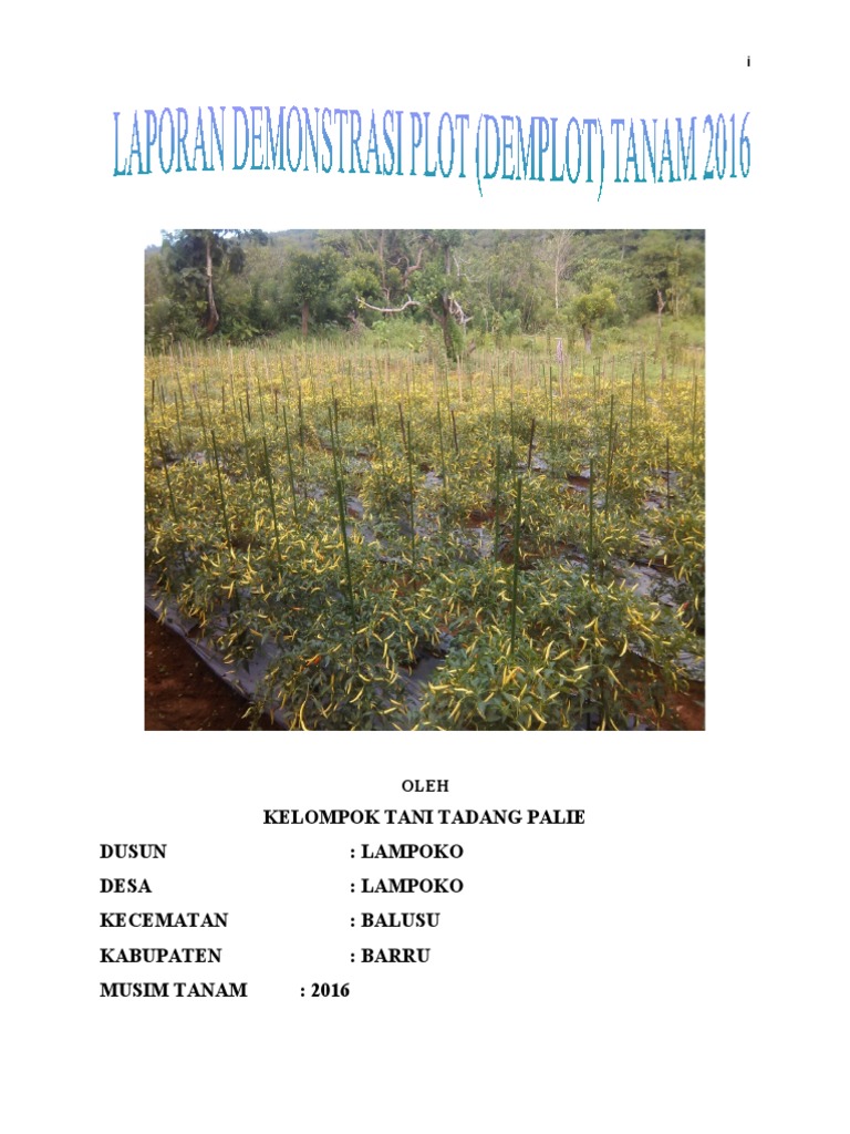 Laporan Demplot Cabe Rawit 2016 | PDF | Griya & Taman | Teknologi ...
