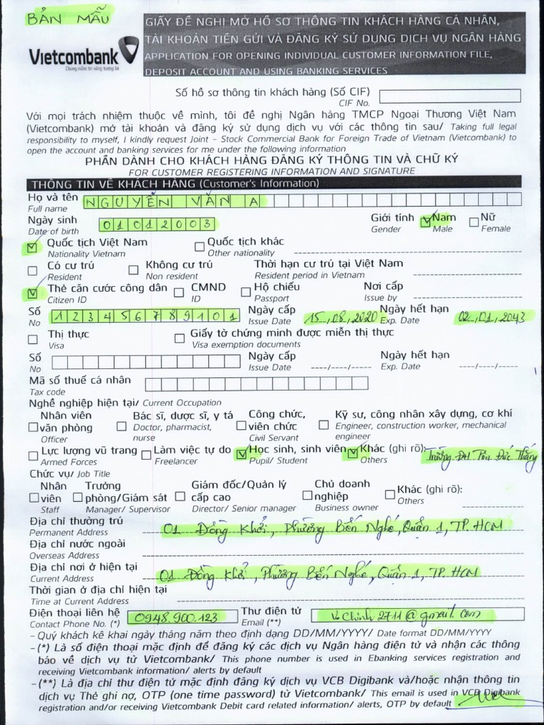 HƯỚNG DẪN ĐIỀN FORM | PDF