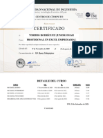 Profesional en Excel Empresarial - Toribio Rodríguez Junior Omar