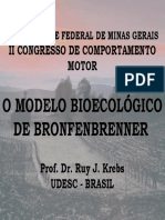 o Modelo Bioenergético de Bronfenbrenner