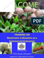 Mushroomrite 170620054116