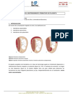 Hematoma Placentario