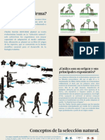 08 Evolucionismo 2