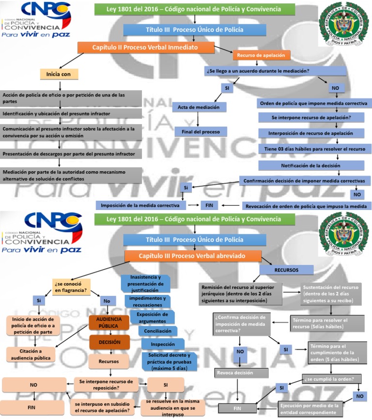 mapa-conceptual-art-222-y-223-ley-1801-de-2016-pdf-apelaci-n