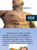 Digestia Si Absorbtia