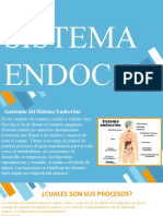 Expo Anatomia