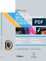 @literaturamedica Atlas malformaciones