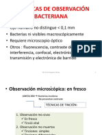 UD Técnicas de Tinción y Obs