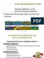 3.Ud.4.Prueba SensibilidadATB