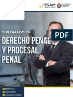 Diplomado Derecho Penal